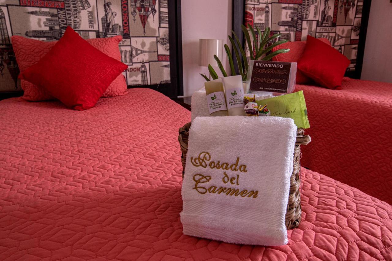 Hotel Posada Del Carmen San Luis Potosí Buitenkant foto