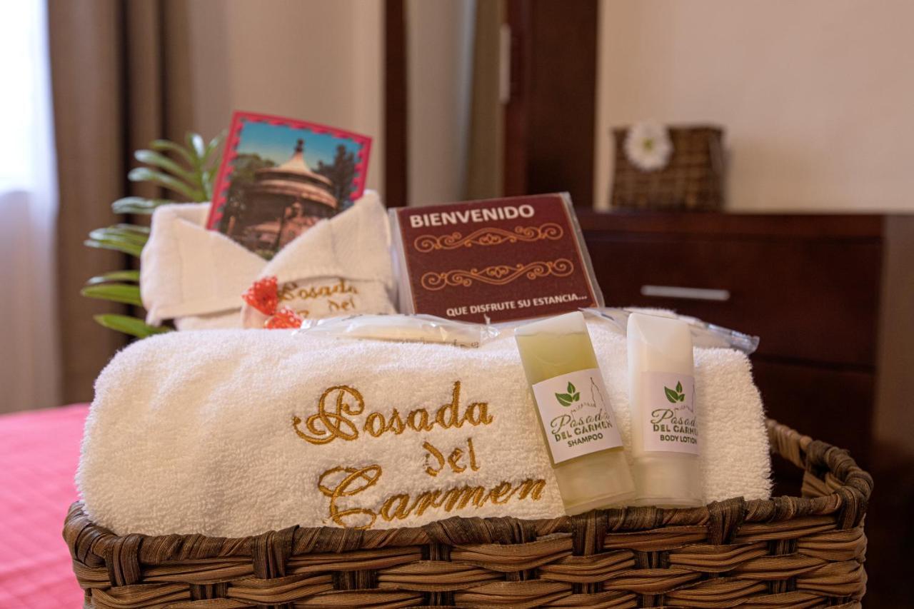 Hotel Posada Del Carmen San Luis Potosí Buitenkant foto